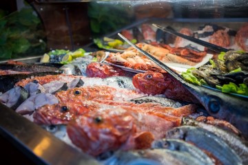 Selection of Adriatic fish